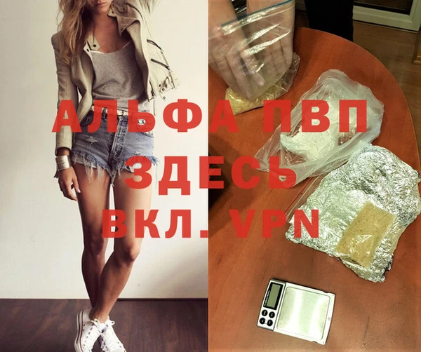 гидра Алексин