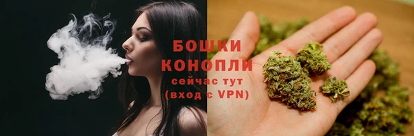 крисы Нефтекумск